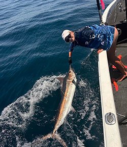 billfish-1