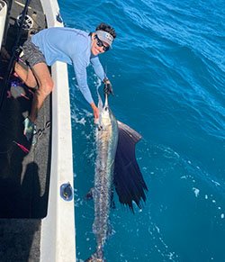 billfish-11