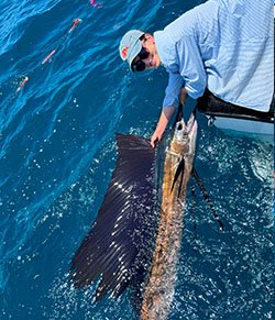 billfish-6